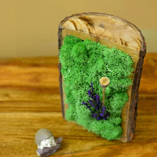 Purple & Poppy Tabletop Preserved Moss Frame In Wooden Bark -Plant Life Decor Shop Purple Poppy 2