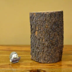 Purple & Poppy Tabletop Preserved Moss Frame In Wooden Bark -Plant Life Decor Shop Purple Poppy 4