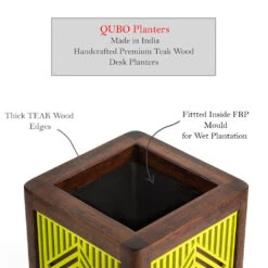 QUBO Liner Handmade Wooden Indoor Planter Pot -Plant Life Decor Shop R1 Series Common Shot 3b241d8f 70f1 407f b597 931e3f3ce0e5