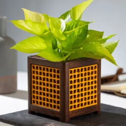 QUBO Leafy Handmade Wooden Indoor Planter Pot -Plant Life Decor Shop R1004 4