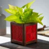 QUBO Liner Handmade Wooden Indoor Planter Pot
