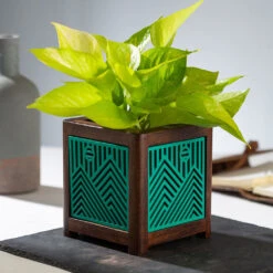 QUBO Story Handmade Wooden Indoor Planter Pot -Plant Life Decor Shop R1008 4