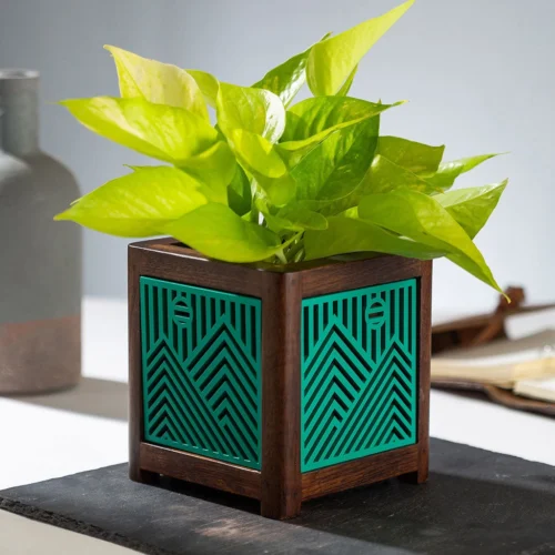 QUBO Story Handmade Wooden Indoor Planter Pot -Plant Life Decor Shop R1008 4
