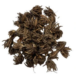 Ranunculus Asiaticus 'Aviv Roze' (Bulbs) 5 Ranunculus Asiaticus 'Aviv Roze' (Bulbs) -Plant Life Decor Shop Ranunculus tubers 3