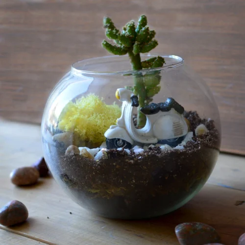 Rider Of The Storm Terrarium Kit