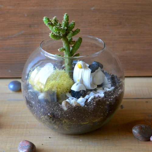 Rider Of The Storm Terrarium Kit -Plant Life Decor Shop Rider of the storm 2