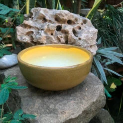 Exotic Metallic Bonsai Ceramic Pot (Medium) -Plant Life Decor Shop RoundBonsaiTray Beige 17x7 720gms 4