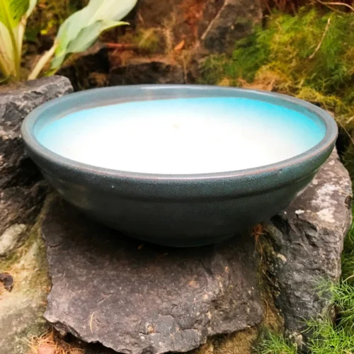 Exotic Metallic Bonsai Ceramic Pot (Large) -Plant Life Decor Shop RoundBonsaiTray Grey 24x8 1140gms 5