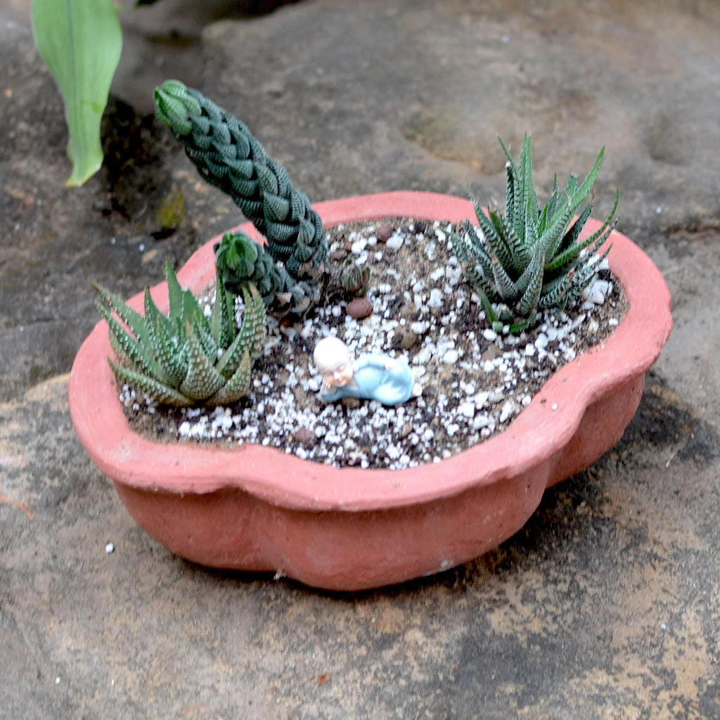 Set Of 3 Medium Petal Cornered Terracotta Pot 3 Set Of 3 Medium Petal Cornered Terracotta Pot - Image 3