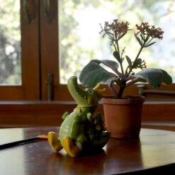 Miniature Royal Crocodile Family – Cute Decor For Gardens & Gifts 7 Miniature Royal Crocodile Family – Cute Decor For Gardens & Gifts -Plant Life Decor Shop Royal Crocodile Family 4