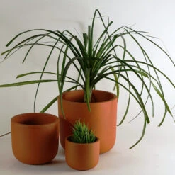 Set Of 3 Kyna Terracotta Pot