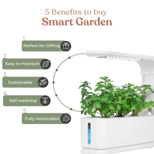 Smart Garden-Indoor Hydroponic Growing Kit -3 Pods -Plant Life Decor Shop SMART GARDEN 4