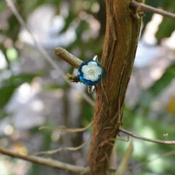 Scented Sapphire Real Dried Flower Ring