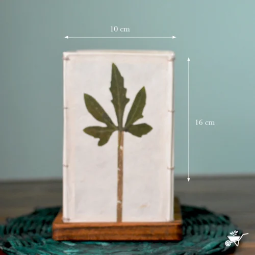 Seeking Solitude Pressed Flower Candleshade 6 Seeking Solitude Pressed Flower Candleshade -Plant Life Decor Shop Seeking solitude 3