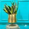 Shimmering Mirth Metal Pot With Stand