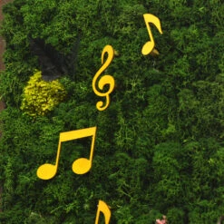 Sitar Symphony Preserved Moss Frame With Dark Wood -Plant Life Decor Shop Sitar Symphony 4