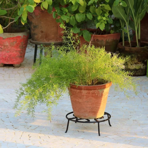 Set Of 3 Wrought Small Planter Stand 10 Set Of 3 Wrought Small Planter Stand -Plant Life Decor Shop Small plant Stand 4