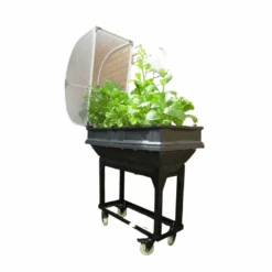 Small Raised Garden Bed With Garden Cover 11 Small Raised Garden Bed With Garden Cover -Plant Life Decor Shop SmallonTrolley