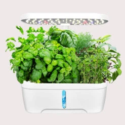 Smart Garden - Indoor Hydroponic Growing Kit - 6 Pods 5 Smart Garden - Indoor Hydroponic Growing Kit - 6 Pods -Plant Life Decor Shop SmartGarden White 6pods