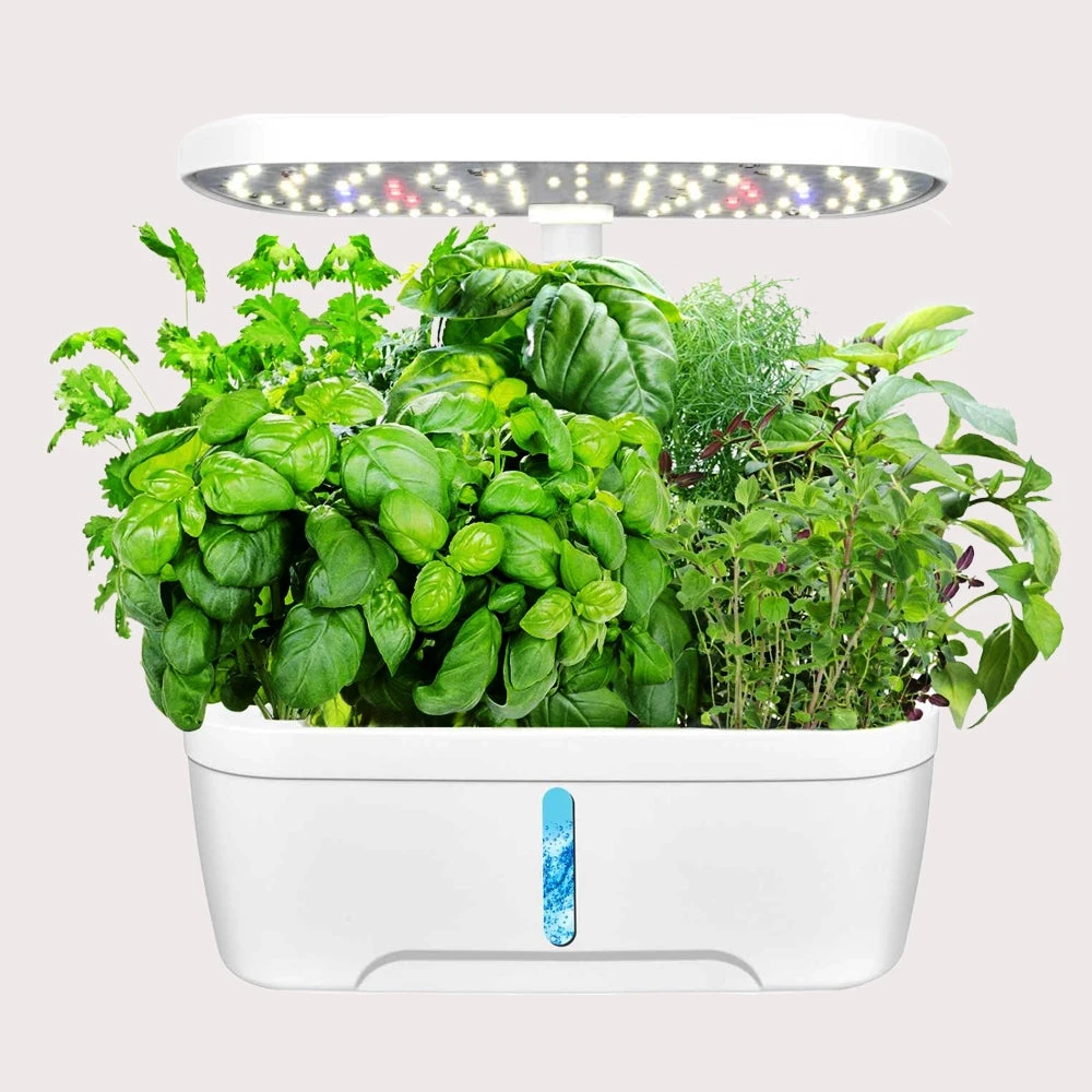 Smart Garden - Indoor Hydroponic Growing Kit - 6 Pods 3 Smart Garden - Indoor Hydroponic Growing Kit - 6 Pods - Image 3