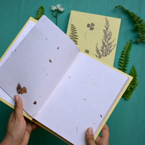 Something About Ferns Pressed Flower Diary 7 Something About Ferns Pressed Flower Diary -Plant Life Decor Shop Something about Ferns 3