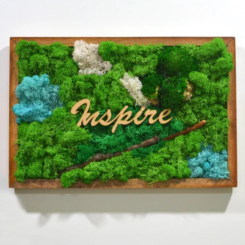 Spirited Tale Preserved Moss Frame With Dark Wood