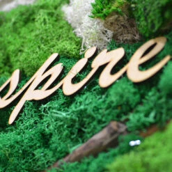 Spirited Tale Preserved Moss Frame With Dark Wood -Plant Life Decor Shop Spirited Tale 3