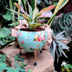 Splashy Roses Metal Pot With Stand