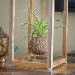 Kokedama Accessories - Cuboid Stand -Plant Life Decor Shop Stand1 3