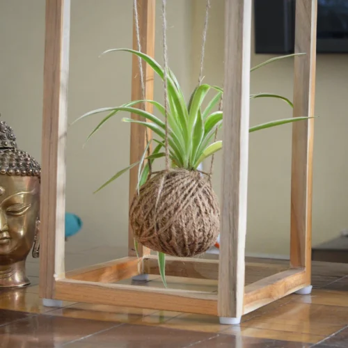 Kokedama Accessories - Cuboid Stand -Plant Life Decor Shop Stand1 3