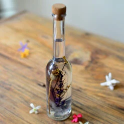 Sunkissed Souvenir Preserved Flower Tabletop -Plant Life Decor Shop Sunkissed souvenir 2