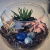 5" Fish Pot Planter