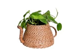 Kettle Shape Natural Cane Handmade Planter