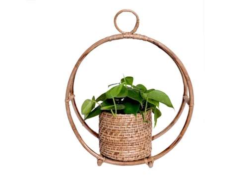 Circular Ring Design Handmade Natural Cane Pot -Plant Life Decor Shop TWN CP 003 1