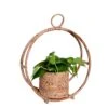 Circular Ring Design Handmade Natural Cane Pot