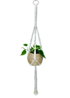 Natural Cane Handmade Planter With Macramé For Hanging