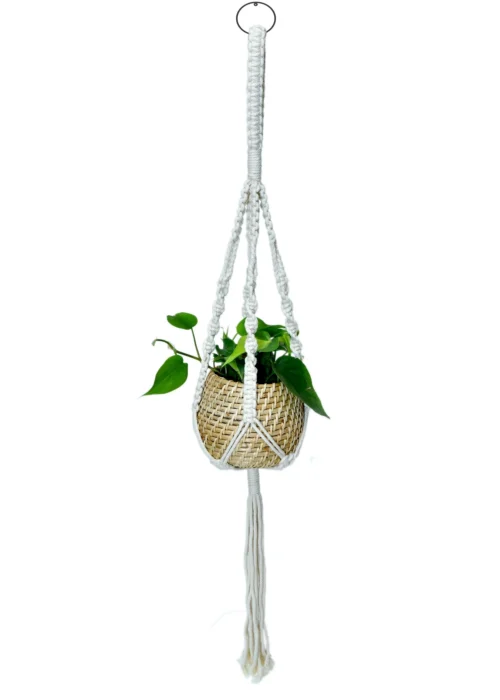 Natural Cane Handmade Planter With Macramé For Hanging