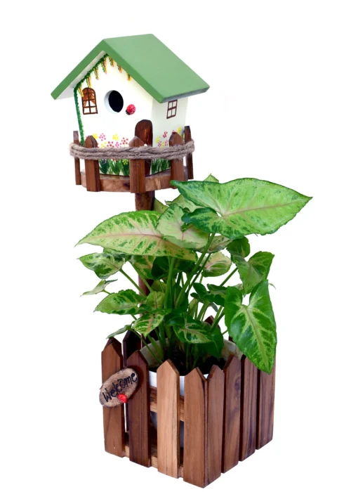 Birdhouse Planter Handcrafted Wooden Pot -Plant Life Decor Shop TWN P 001 5