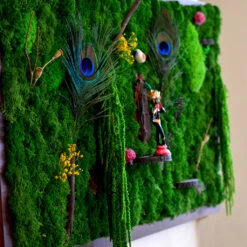 Tales Of Govardhan Parvat Preserved Moss Frame With Dark Wood -Plant Life Decor Shop Tales of govardhan parvat 5