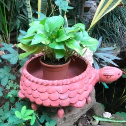 Terracotta Tortoise Planter