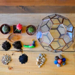 Thar Wanderlust Terrarium Kit -Plant Life Decor Shop Thar Wanderlust 3