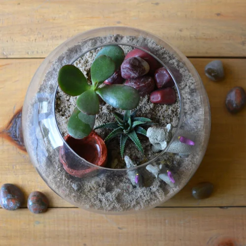 The Arid Mirage Terrarium Kit -Plant Life Decor Shop The Arid Mirage 4