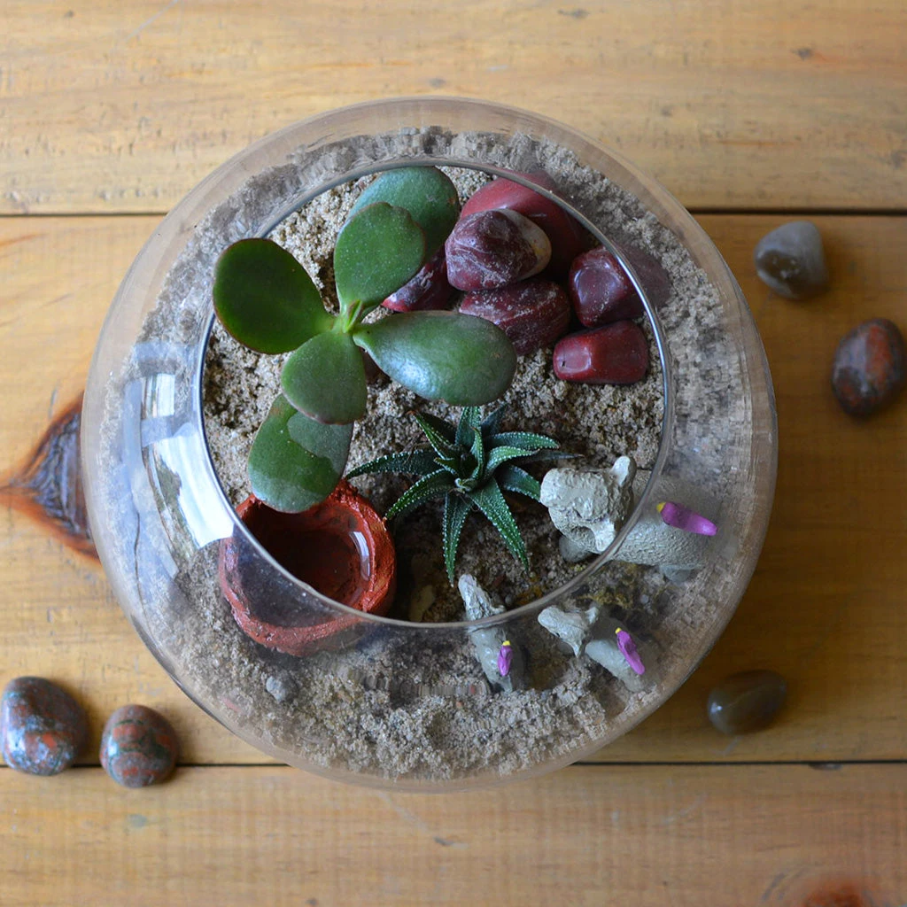 The Arid Mirage Terrarium Kit 3 The Arid Mirage Terrarium Kit - Image 3