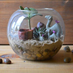 The Arid Mirage Terrarium Kit 7 The Arid Mirage Terrarium Kit -Plant Life Decor Shop The Arid Mirage 5