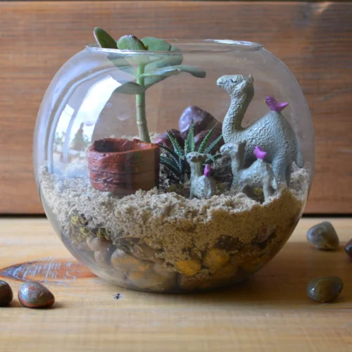 The Arid Mirage Terrarium Kit -Plant Life Decor Shop The Arid Mirage 5