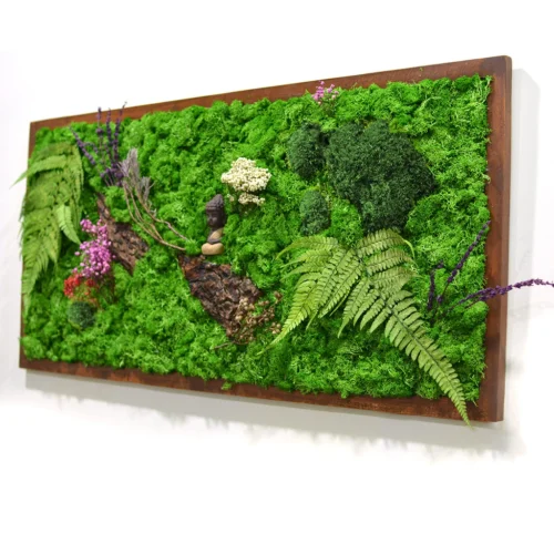 The Enlightened Bodhi Preserved Moss Frame With Dark Wood -Plant Life Decor Shop The Enlightened Bodhi 2