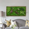 The Enlightened Bodhi Preserved Moss Frame With Dark Wood