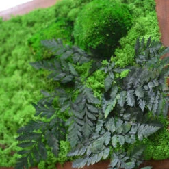 The Untamed Backwoods Preserved Moss Frame With Dark Wood -Plant Life Decor Shop The Untamed backwoods 2