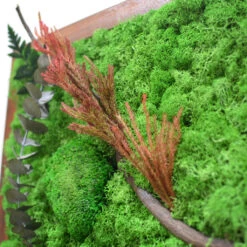 The Untamed Backwoods Preserved Moss Frame With Dark Wood -Plant Life Decor Shop The Untamed backwoods 3