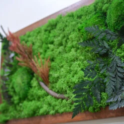 The Untamed Backwoods Preserved Moss Frame With Dark Wood -Plant Life Decor Shop The Untamed backwoods 4